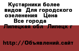 Кустарники более 100 видов. Для городского озеленения › Цена ­ 70 - Все города  »    . Липецкая обл.,Липецк г.